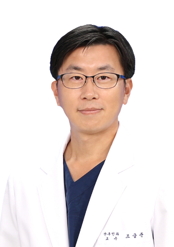 고려대 구로병원 산부인과 조금준 교수