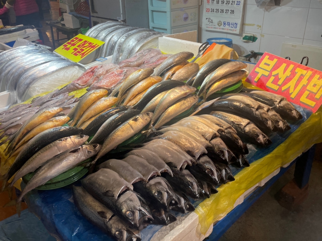 3일 오전 노량진 수산시장에 생선이 진열돼있다./사진=이현수 기자.