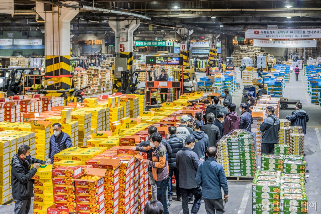 국내 최초 최대의 공영도매시장으로 개장한 가락시장의 거래규모는 연간 230여만톤(하루 7,500여톤)으로 세계 최대 거래 물량을 자랑하고 있다. 또 전국 32개 공영도매시장이 취급하는 총 거래양의 40%를 차지할 정도로 우리나라 농수산물 유통의 중심적인 역할을 담당하고 있다.