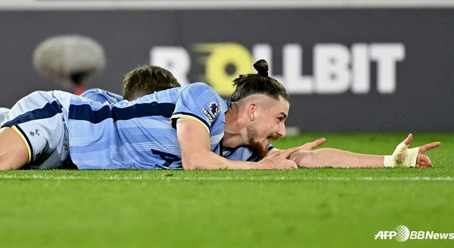 라두 드라구신. /AFPBBNews=뉴스1