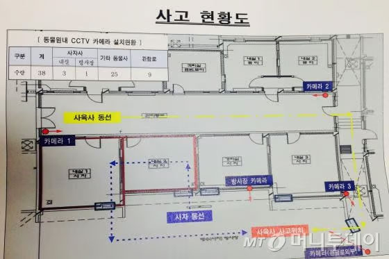 어린이대공원 사육사 A씨가 2015년 2월 12일 서울 광진구 어린이대공원 맹수마을 방사실에서 사자 2마리에 물려 숨졌다. 당시 사자와 사육사의 동선을 표시한 도면. 파란색이 사자 동선, 노란색이 사육사 동선이다./사진=머니투데이 DB (어린이대공원 제공)