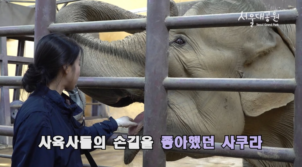 /사진=유튜브 채널 '서울대공원TV' 영