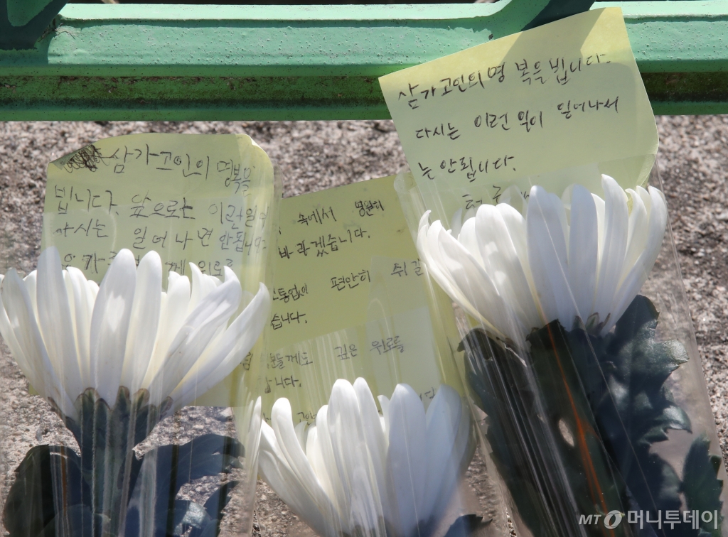 지난 10일 대전 서구 한 초등학교에서 1학년 A양이 교사에 의해 흉기에 찔려 사망하는 사고가 발생했다. 11일 범행이 발생한 학교입구에 A양을 추모하는 국화꽃과 메모가 놓여 있다. /사진=뉴스1