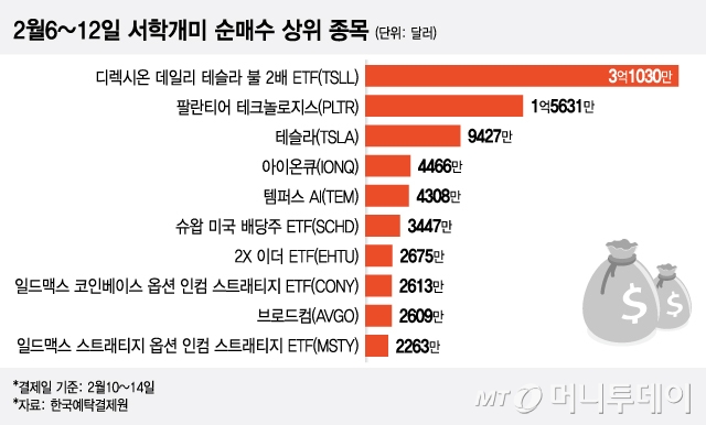 2월6~12일 서학개미 순매수 상위 종목/그래픽=이지혜