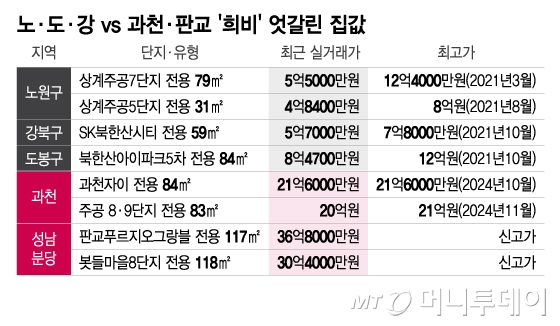 노·도·강vs과천·판교 '희비' 엇갈린 집값/그래픽=이지혜