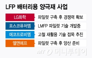 LFP 배터리용 양극재 사업/그래픽=윤선정