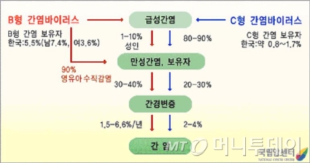 간암 위험 요인./사진=국립암센터