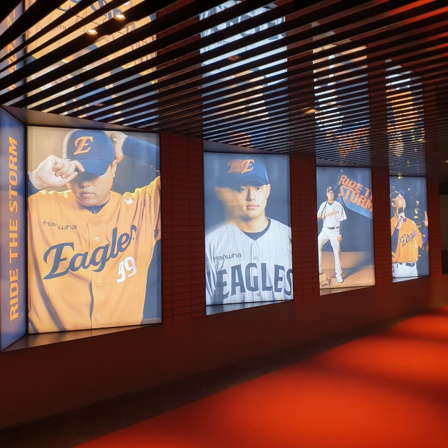 한화이글스 새 홈구장 대전 한화생명 볼파크 내부. /사진=김동윤 기자