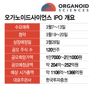 오가노이드사이언스 IPO 개요/디자인=이지혜