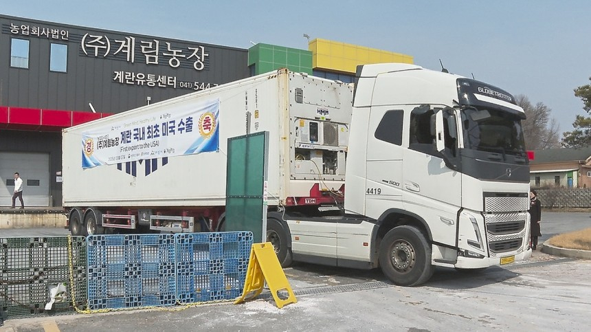㈜계림농장에서 생산된 특란 20톤이 미국으로 수출된다./사진 충남 아산시청 제공.