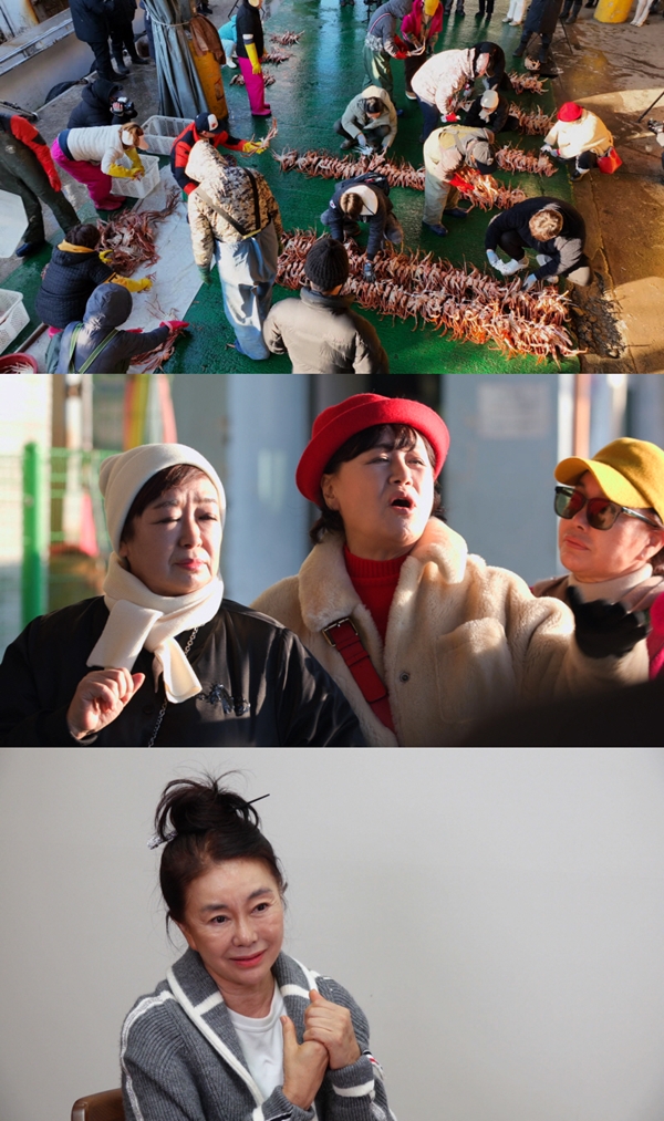 KBS 2TV '박원숙의 같이 삽시다'./사진제공=KBS