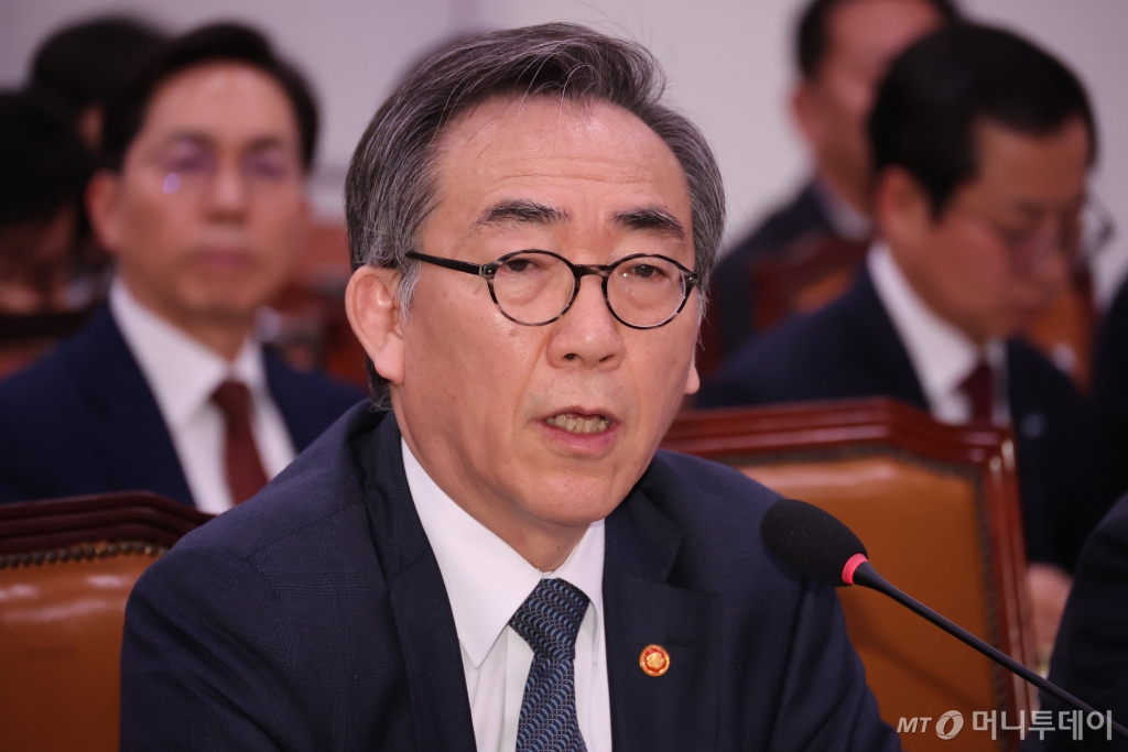 조태열 외교부 장관이 지난 11일 오전 서울 여의도 국회에서 열린 외교통일위원회 전체회의에서 의원 질의에 답변하고 있다. / 사진=뉴시스