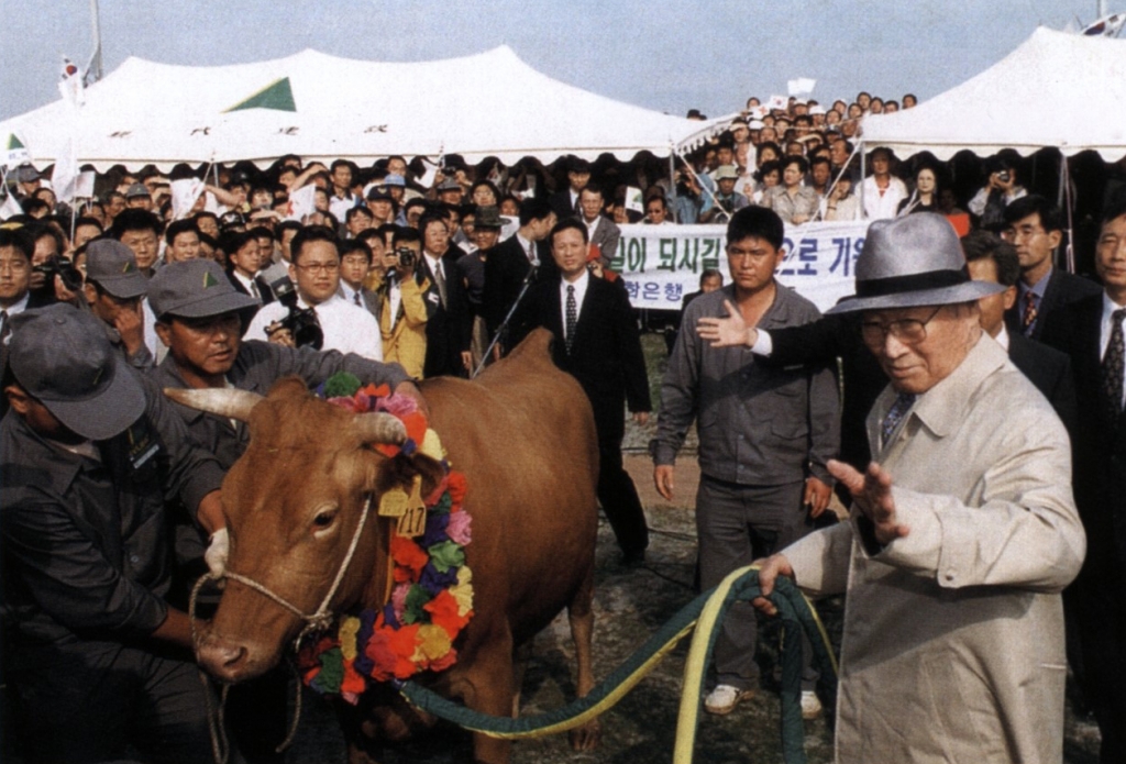 현대그룹 창업주 정주영 회장이 1998년 소 떼를 이끌고 방북길에 나선 모습 /사진=아산리더십아카이브