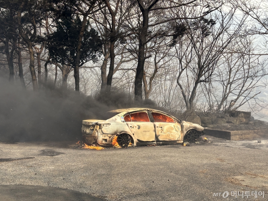 (산청=뉴스1) 강미영 기자 = 22일 경남 산청 시천면에서 산불이 발생해 민가의 차량이 전소되고 있다. 2025.3.22/뉴스1 Copyright © 뉴스1. All rights reserved. 무단 전재 및 재배포, AI학습 이용 금지. /사진=(산청=뉴스1) 강미영 기자