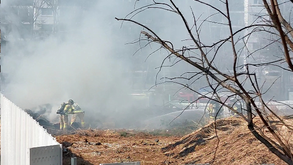 지난 22일 오후 3시3분쯤 서울 강남구 개포초등학교 옆 근린공원에서 초등학생들이 마시멜로를 구워 먹으려다 화재가 발생했다. 소방당국이 화재를 진압하는 모습. /사진제공=강남소방서