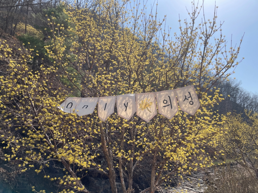 25일 경북 의성군 사곡면 산수유마을에 위치한 식당에 손님들의 발길이 끊긴 모습이다. /사진=이지현 기자.