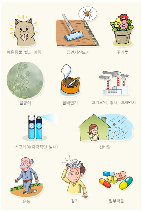 알레르기를 유발하는 다양한 요인. /자료=국가건강정보포털