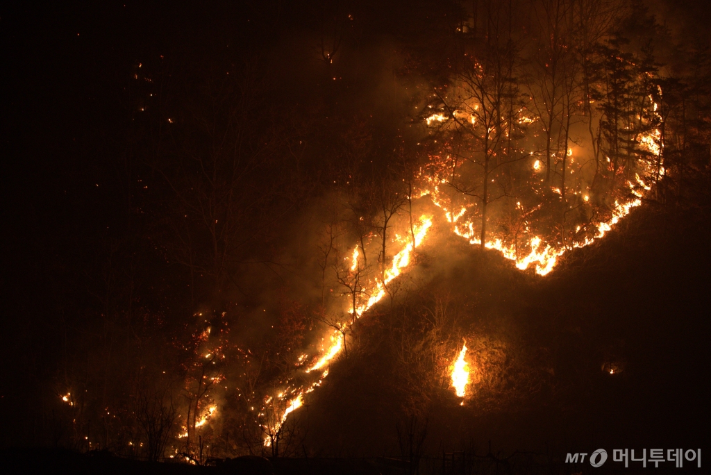 (안동=뉴스1) 신성훈 기자 = 26일 오전  경북 안동시 남선면에 의성발 산불이 확산하고 있다.2025.3.26/뉴스1  Copyright © 뉴스1. All rights reserved. 무단 전재 및 재배포,  AI학습 이용 금지. /사진=(안동=뉴스1) 신성훈 기자