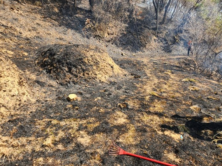 경북 의성군 안평면 괴산1리에서 발생한 대형산불의 첫 발화지로 추정되는 묘지.／사진＝뉴시스