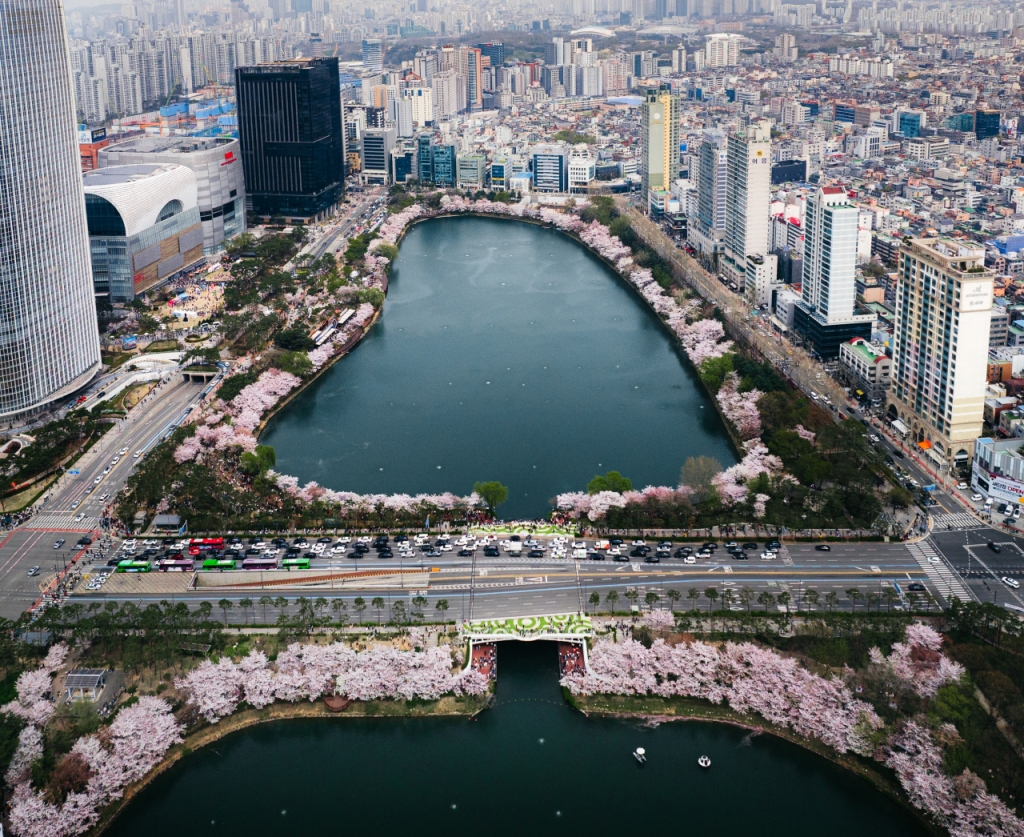 서울 송파구 석촌호수./사진=송파구청