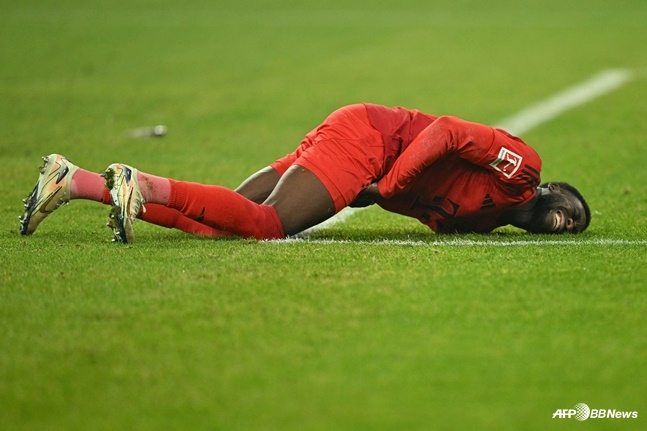 바이에른 뮌헨 레프트백 알폰소 데이비스가 그라운드에 쓰러져있다. /AFPBBNews=뉴스1