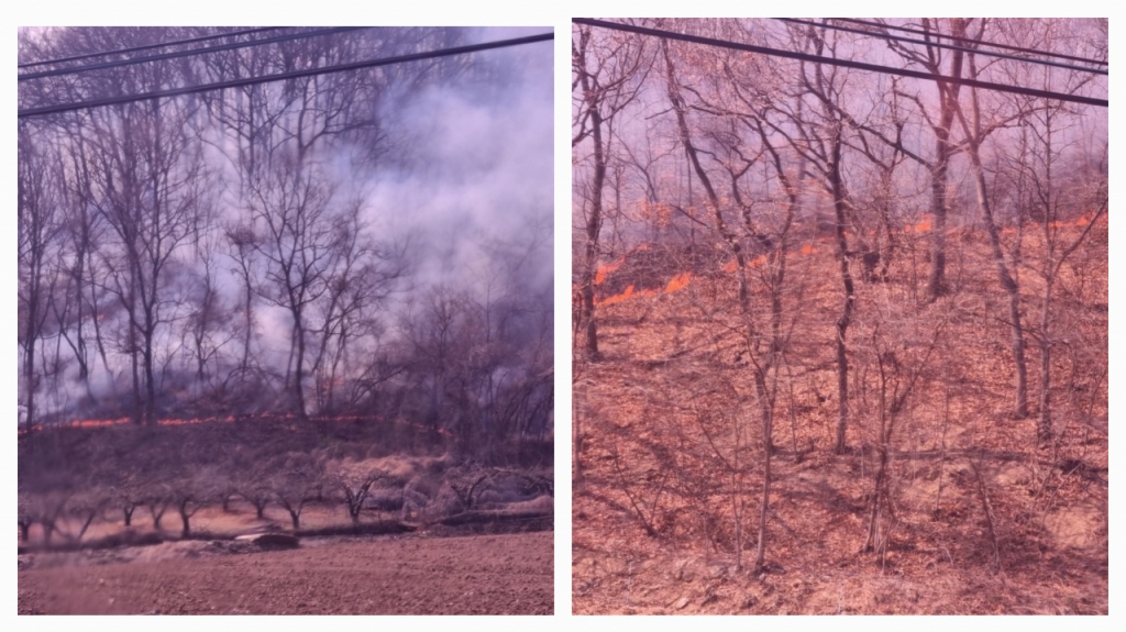 지난 27일 오후 경북 의성군 안평면에서 야산이 불타는 모습. 사진을 촬영한 주민은 "산불이 동네 쪽으로 내려오는게 보였다"고 말했다./사진=독자제공