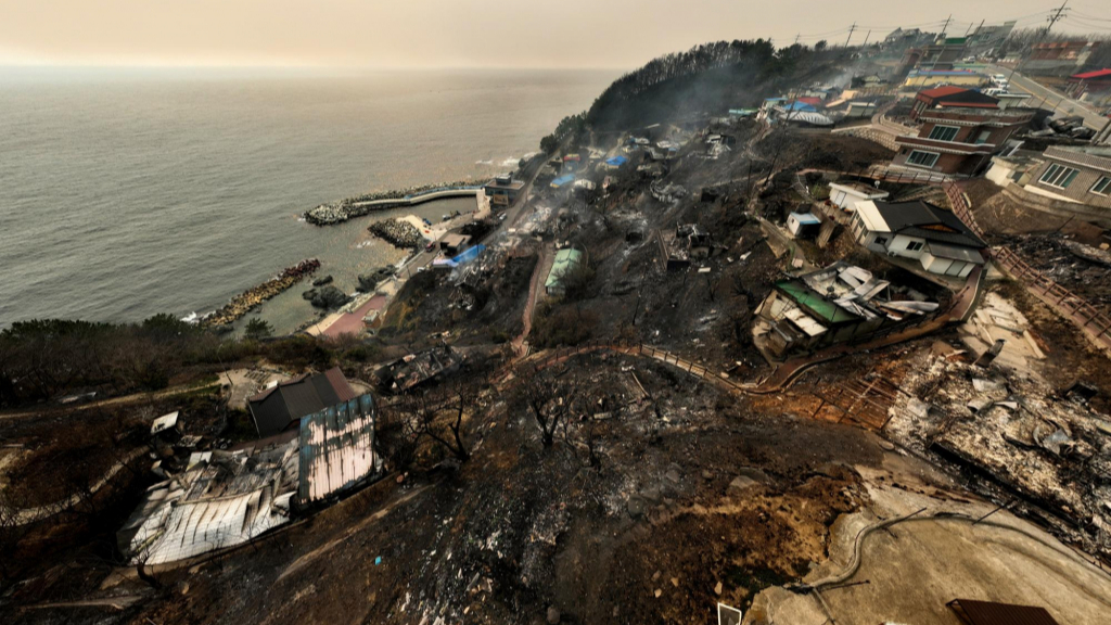 산불에 휘말려 폐허로 변해버린 경북 영덕군 영덕읍 석리 마을의 지난 26일 모습. /사진=뉴시스