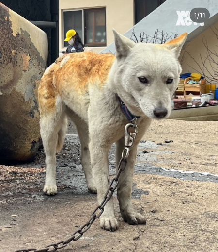 /사진=사단법인 위액트(@we.a.c.t) 인스타그램