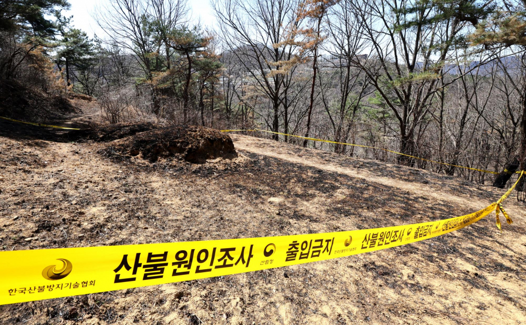 30일 경북 산불 최초 발화 추정 지점인 의성군 괴산리 야산 묘지에 폴리스라인이 설치돼 있다. /사진=뉴시스