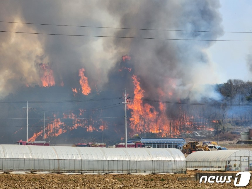 2023년 4월 3일홍성 서부면 판교리의 한 야산이 화염에 휩싸여 있다./사진=뉴스1