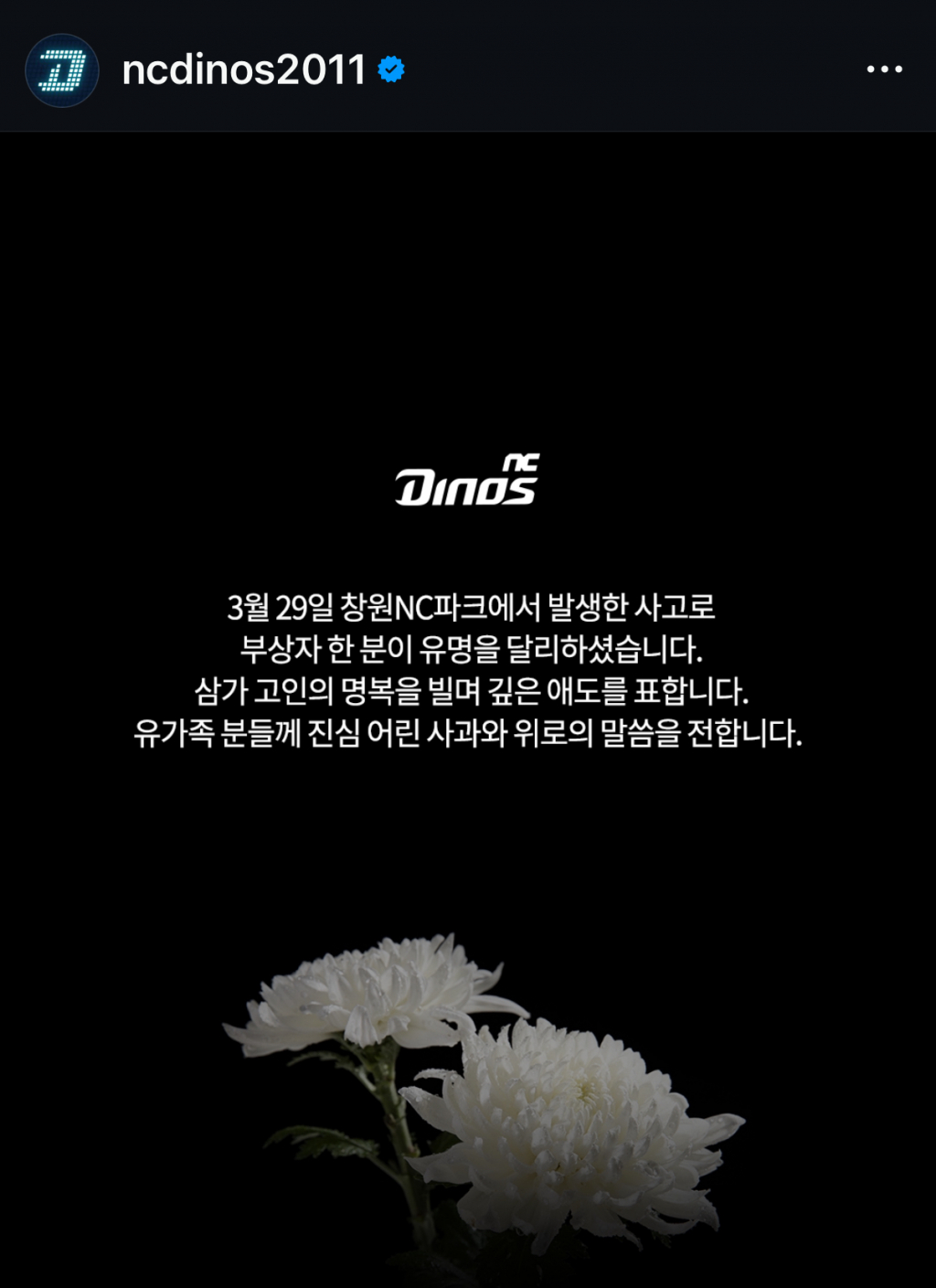 NC 다이노스 구단이 공식 SNS 채널을 통해 희생자를 향한 깊은 애도의 뜻을 표했다. /사진=NC 다이노스 공식 SNS 갈무리