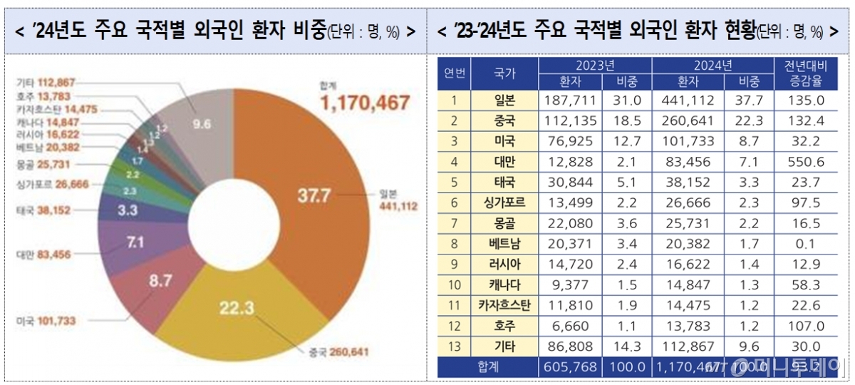 2024년도 주요 국적별 외국인 환자 비중 및 2023-24년도 주요 국적별 외국인 환자 현황. /사진제공=보건복지부
