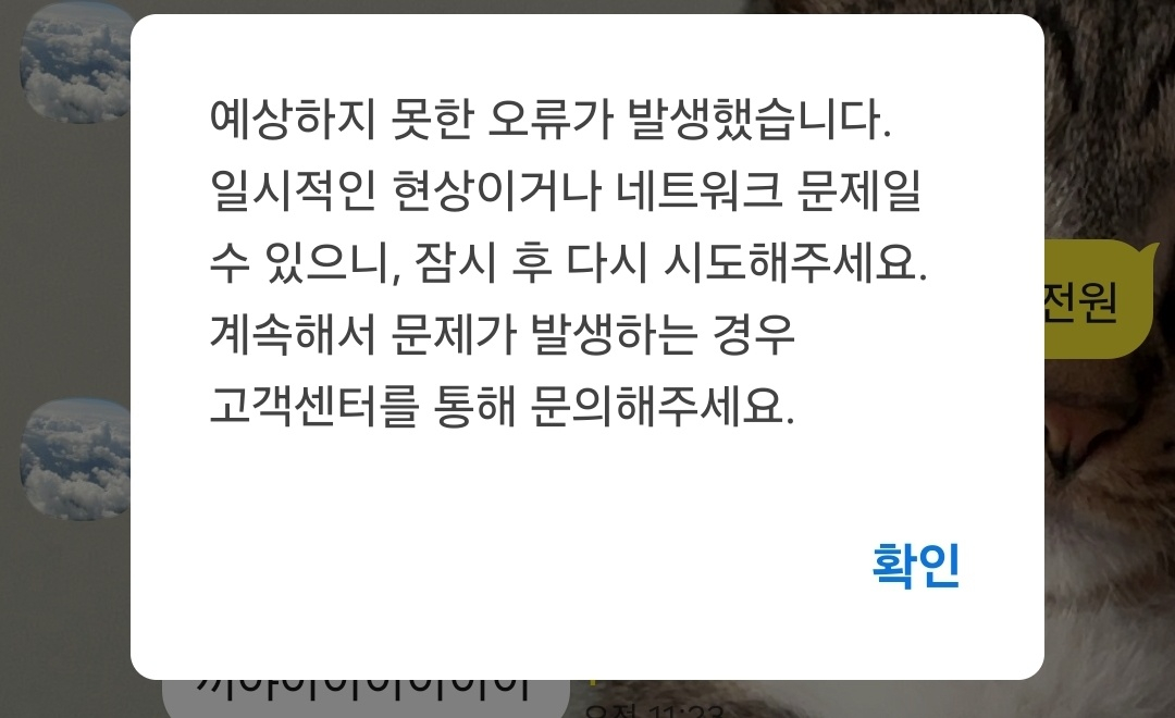 카카오톡 오류 화면. 2025.04.04./사진=머니투데이