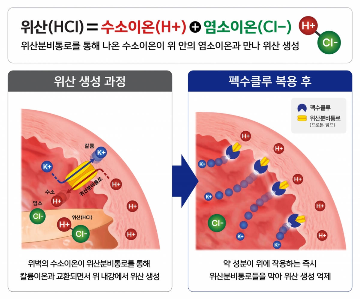 펙수클루 작용 기전/사진= 대웅제약