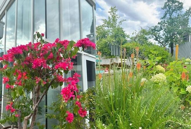 꽃과 나무로 가득한 박나래 집 정원. /사진=박나래 인스타그램 캡처 