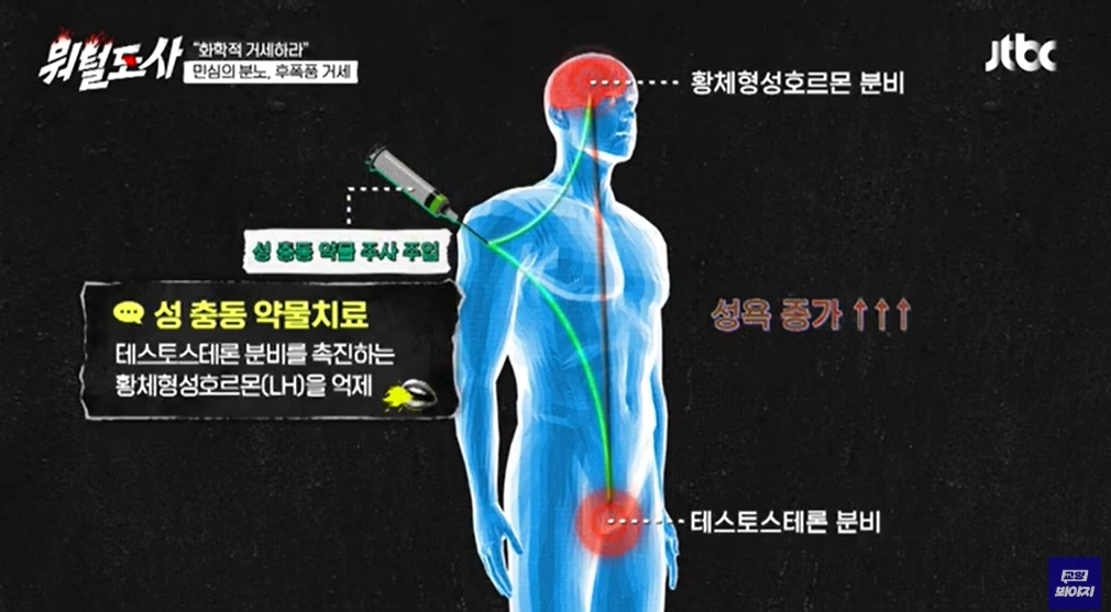 /사진=JTBC '뭐털도'