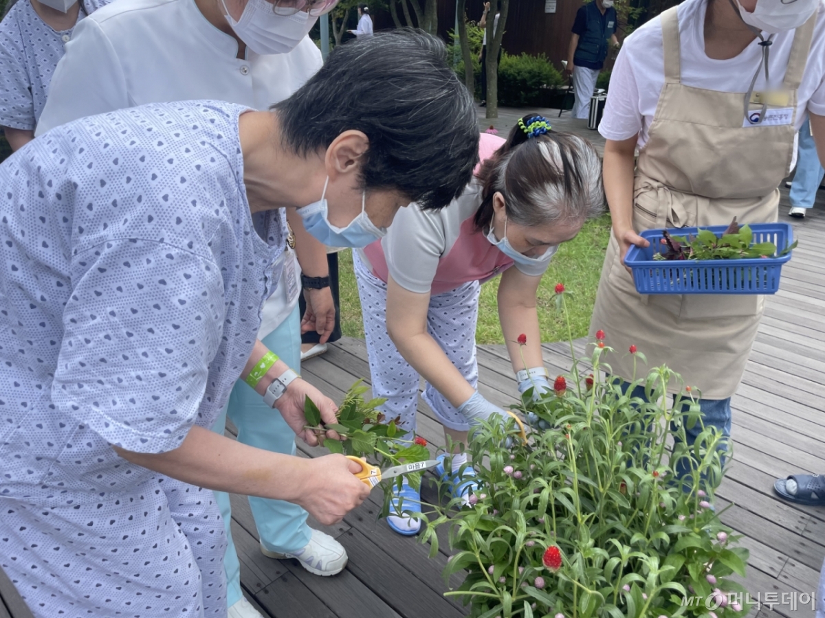 전북지역 한 의료기관에서 환자들이 치유농업 프로그램에 참여하고 있다. /사진제공=국립원예특작과학원 /사진=정혁수