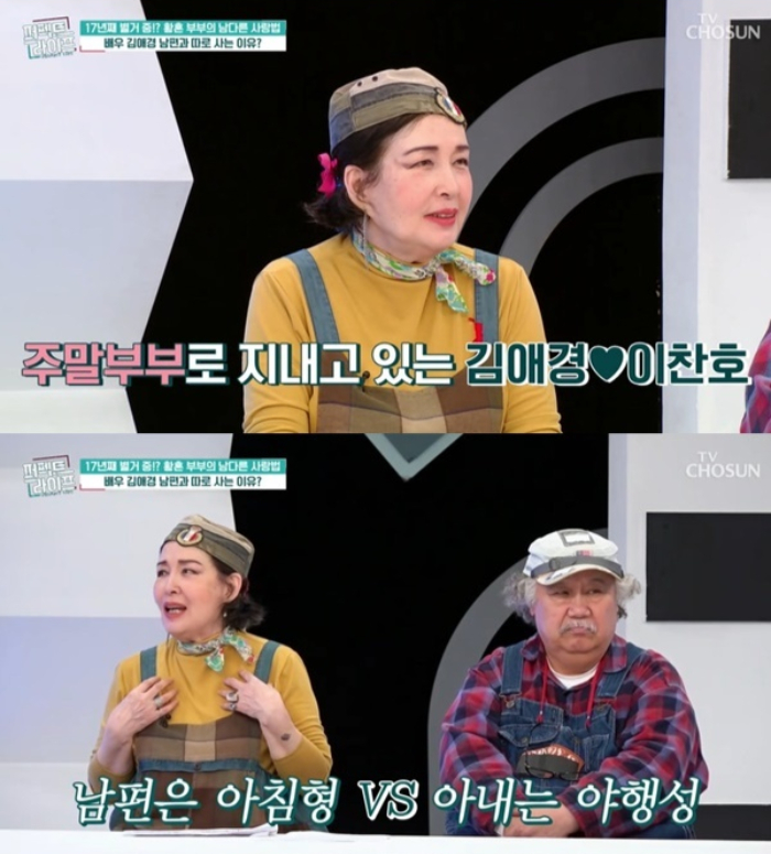 /사진=TV조선 '퍼펙트라이프'