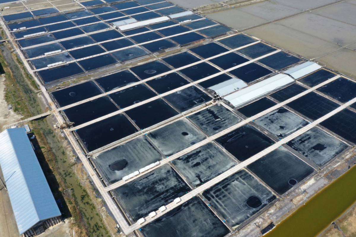 2021년 염전 노예 사건으로 미국 관세국경보호청(CBP)으로부터 수입보류명령(WRO)을 받은 신안 태평염전/사진=뉴시스