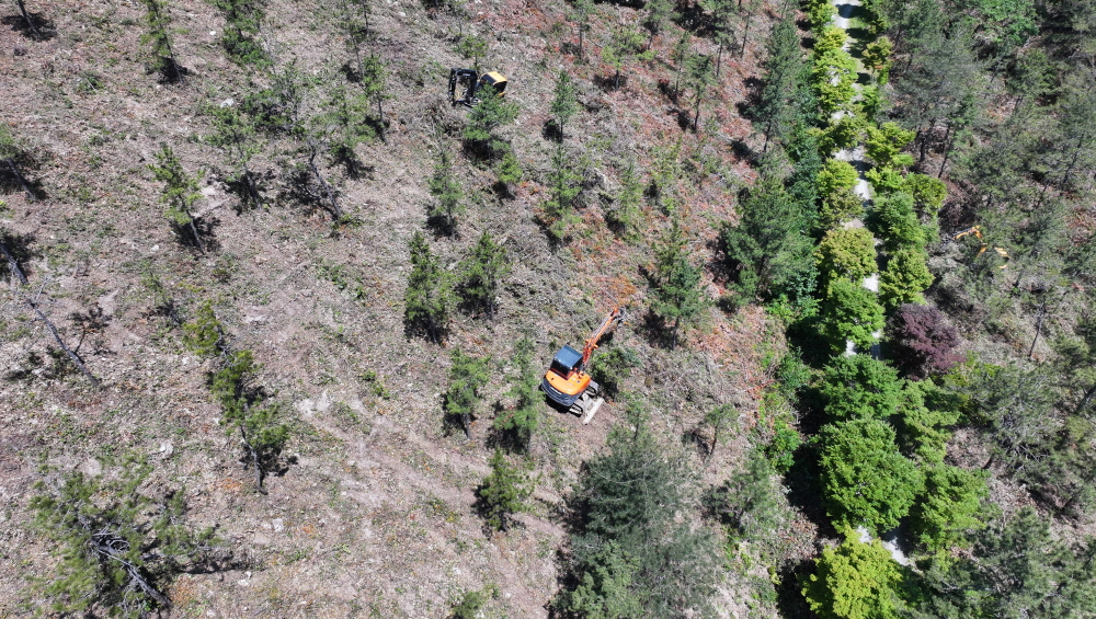 완도 고금면 청용리 조림사업지./사진제공=완도군