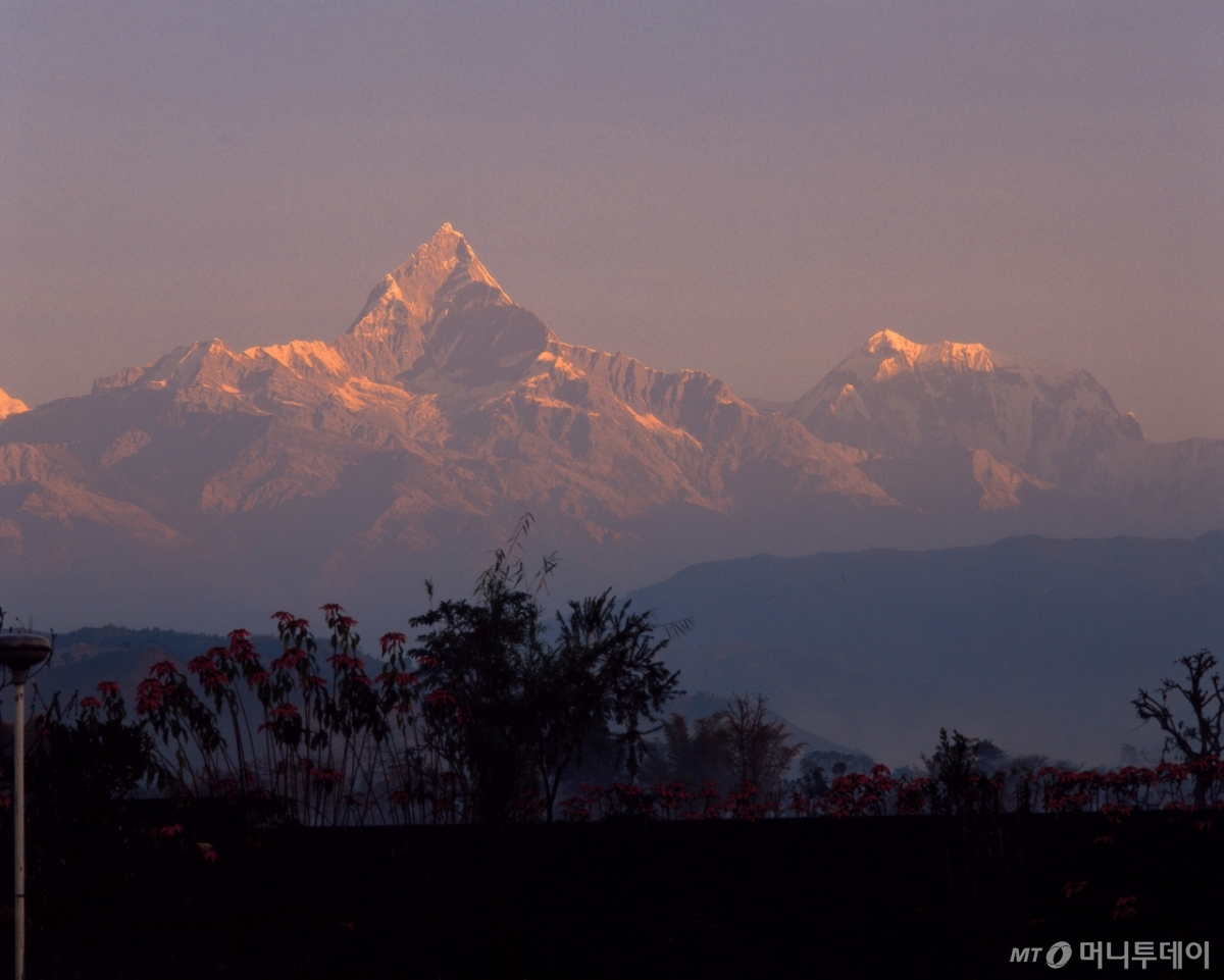 2014년 4월 18일 세계 최고봉 에베레스트에서 발생한 눈사태로 16명이 사망했다. /사진=머니투데이 DB