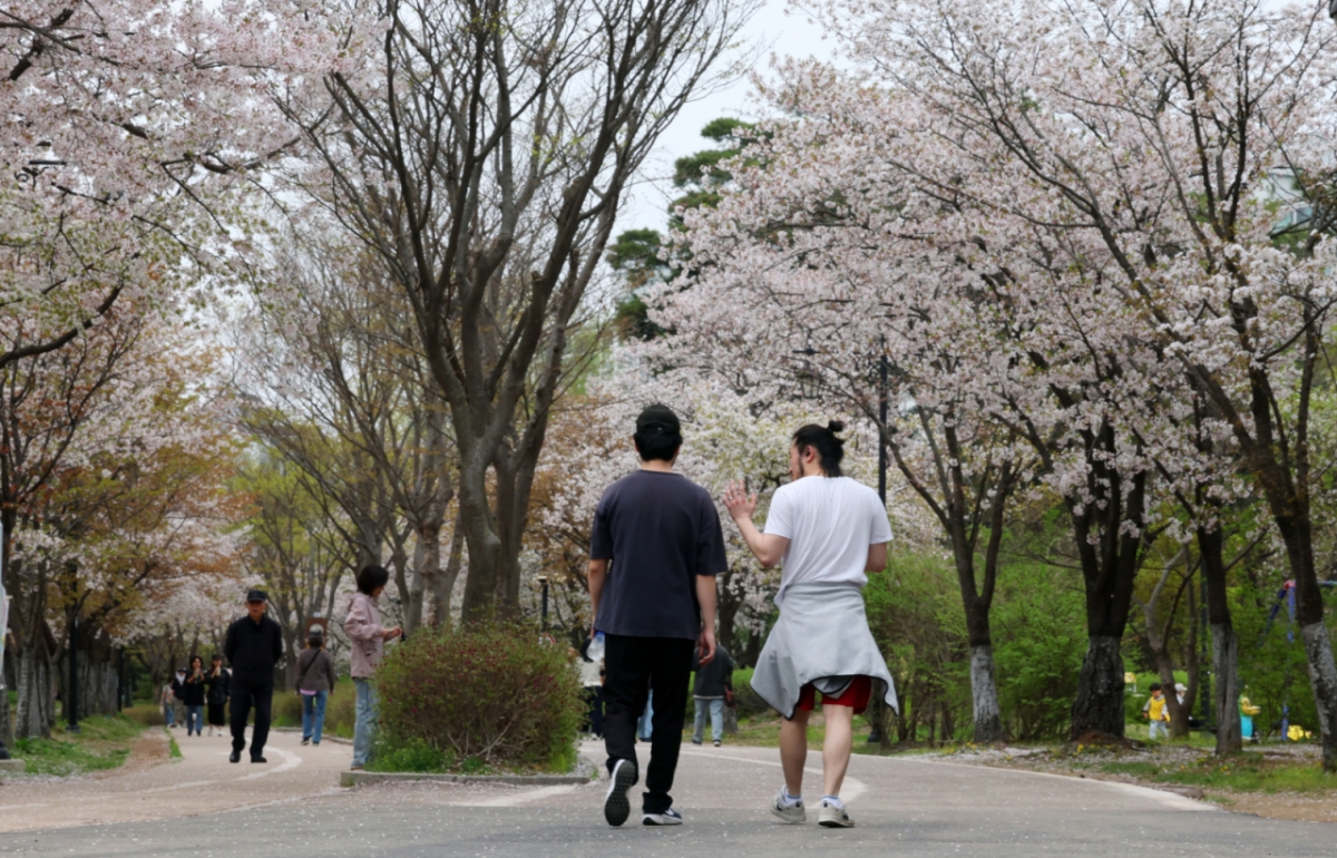 최고기온이 25도까지 오르는 등 초여름 날씨를 보인 17일 벚꽃이 활짝 핀 경기 고양시 일산호수공원에서 반팔티와 반바지 등 가벼운 옷차림의 시민들이 산책을 하고 있다./사진=뉴스1