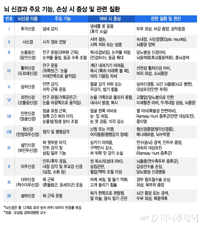 뇌 신경과 주요 기능, 손상 시 증상 및 관련 질환/그래픽=김지영