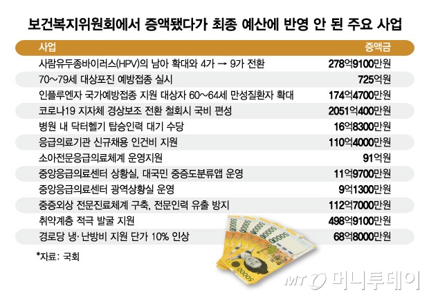 보건복지위원회에서 증액됐다가 최종 예산에 반영 안 된 주요 사업/그래픽=김현정
