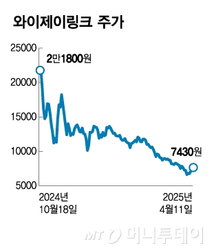 와이제이링크 주가/그래픽=김다나
