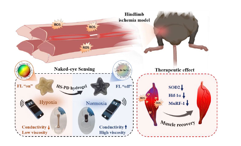 진은정 첨단바이오소재학과 교수팀의 연구자료 이미지./사진제공=원광대