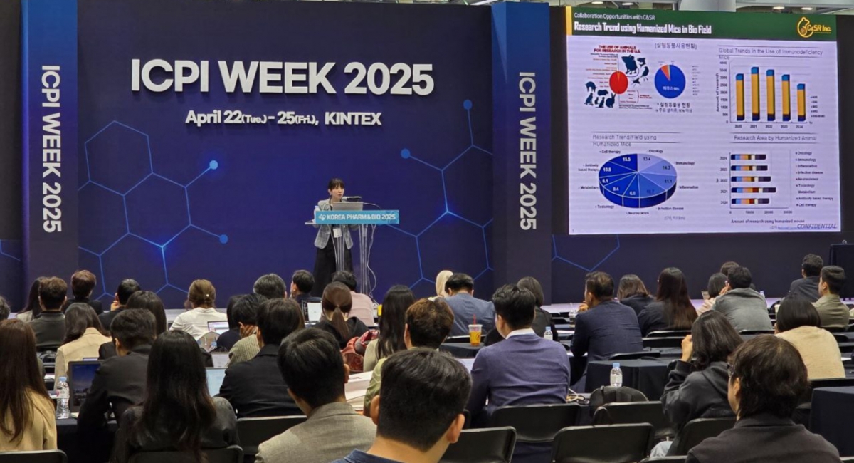 씨앤에스알, '인간화마우스 기반 마이크로니들 융합연구 전략' 발표 - 뉴스 썸네일 이미지