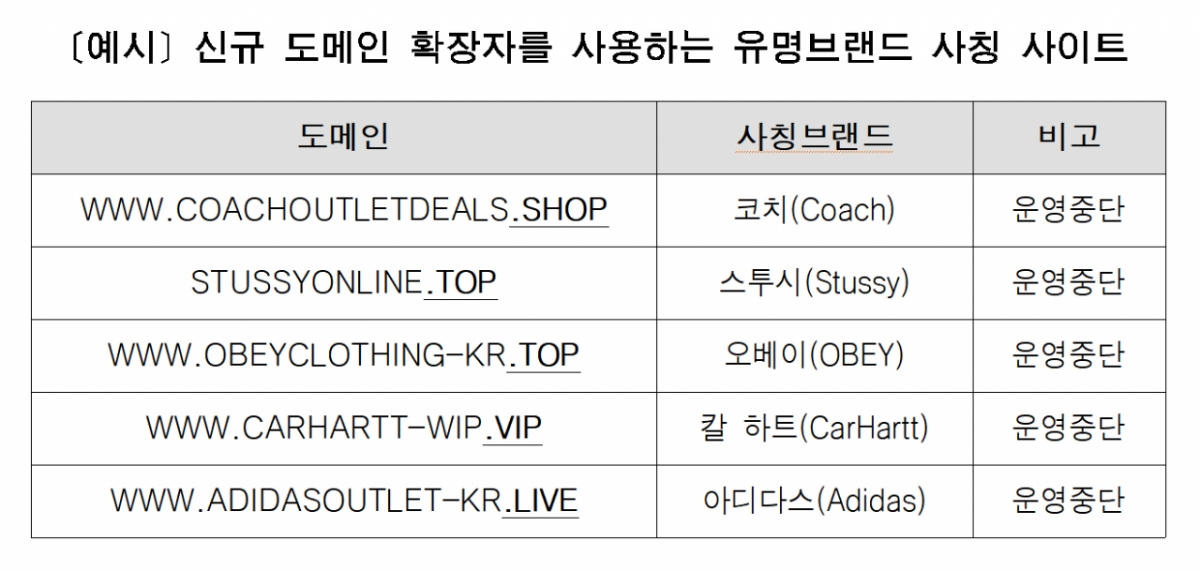 서울시가 적발한. 유명 브랜드 사칭 사이트 /자료=서울시