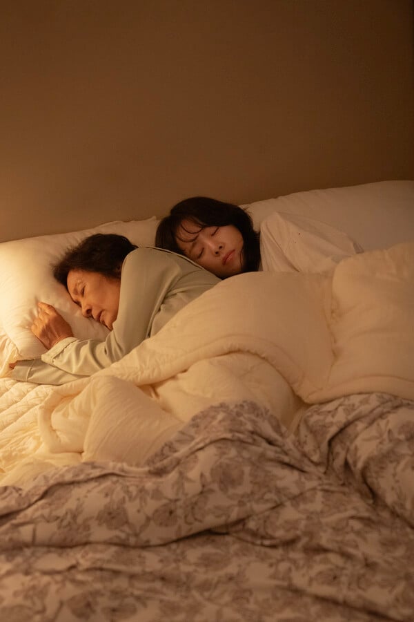 사진제공=스튜디오피닉스, SLL