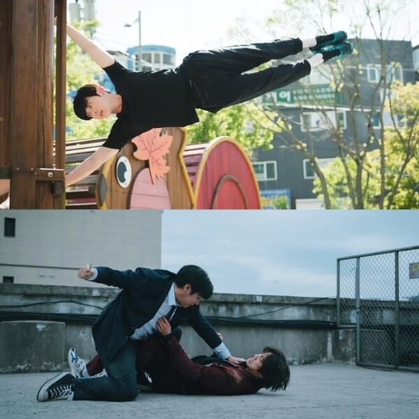 /사진=티빙, 넷플릭스